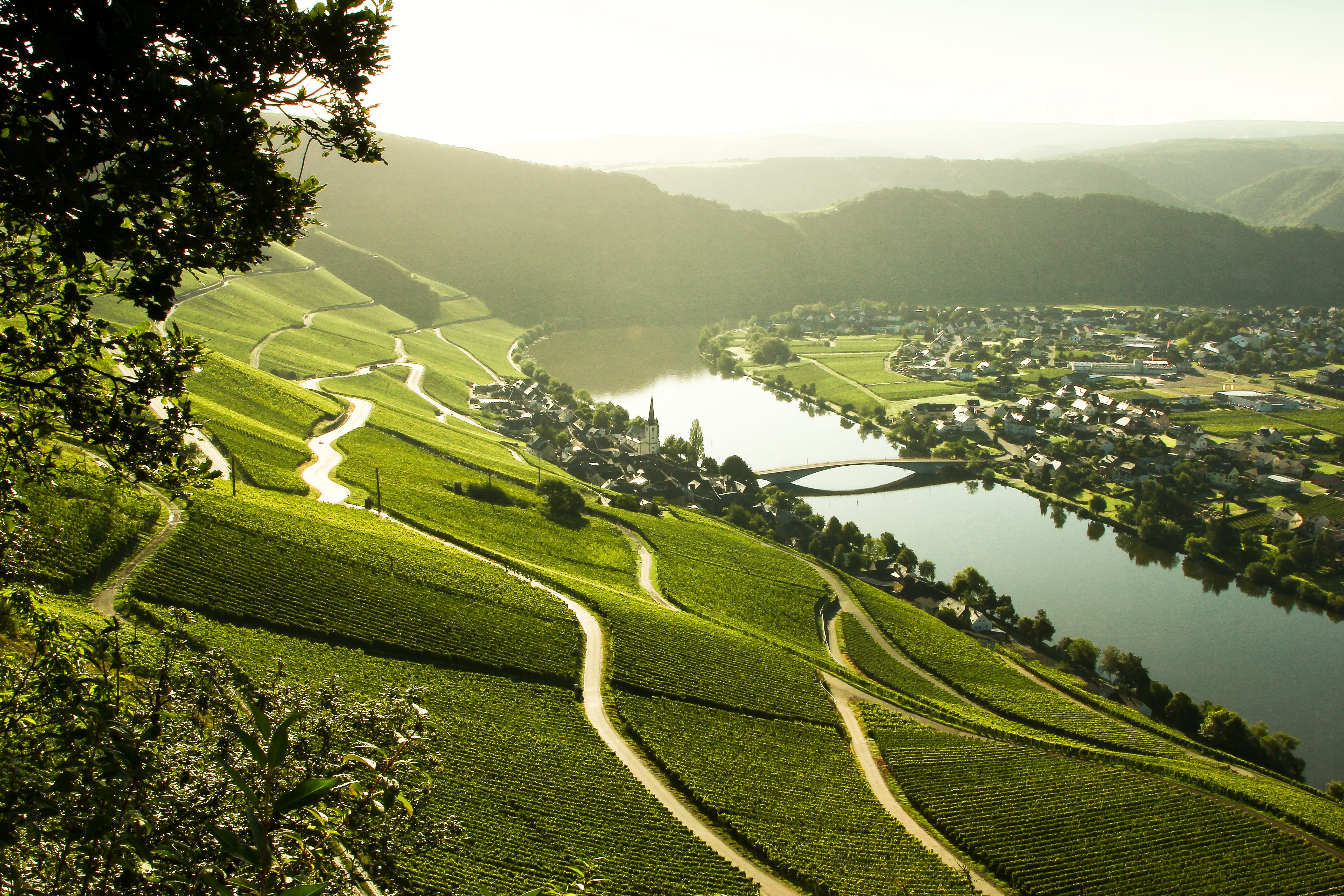 Mosel Weinstraße
