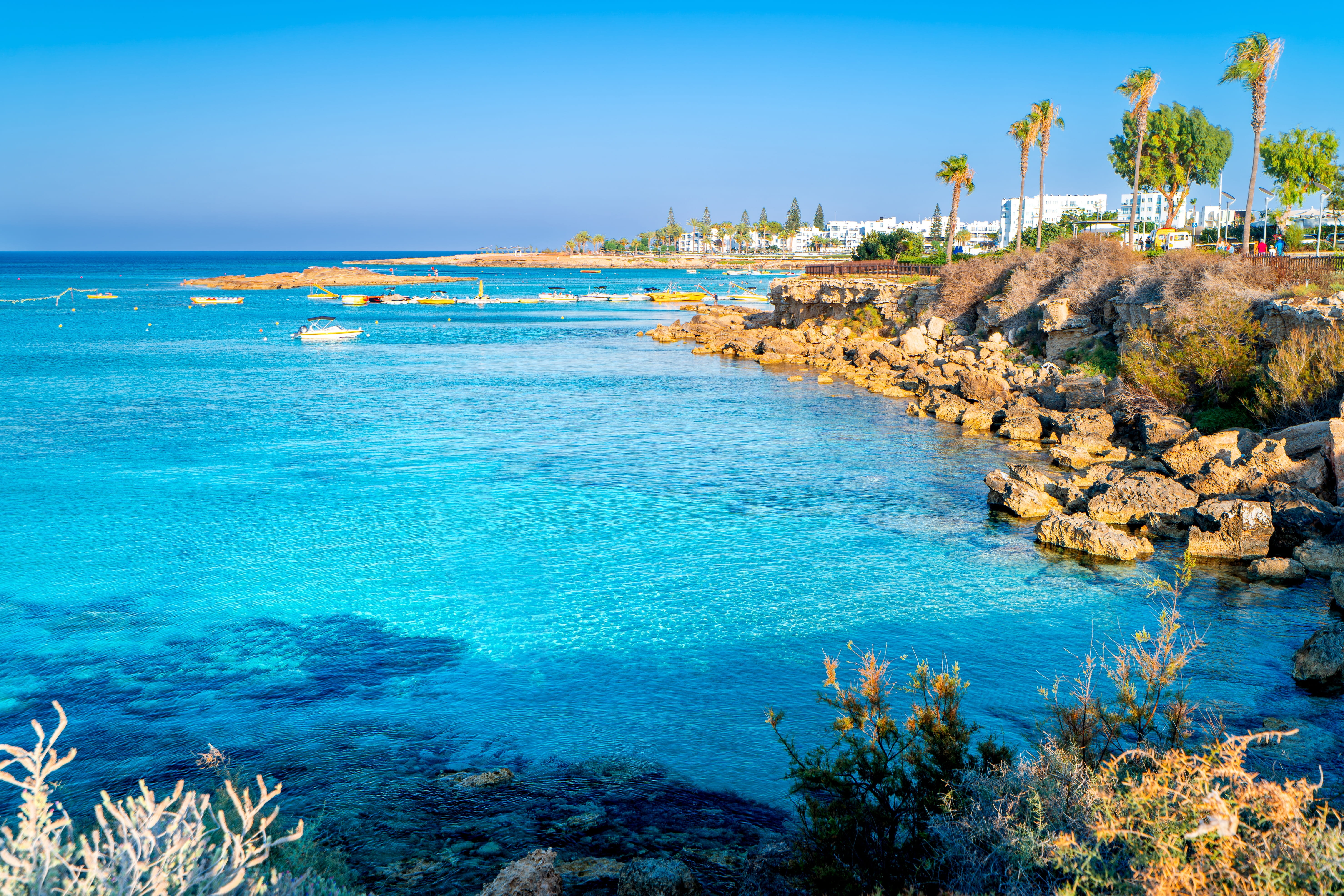 Fig Tree Bay