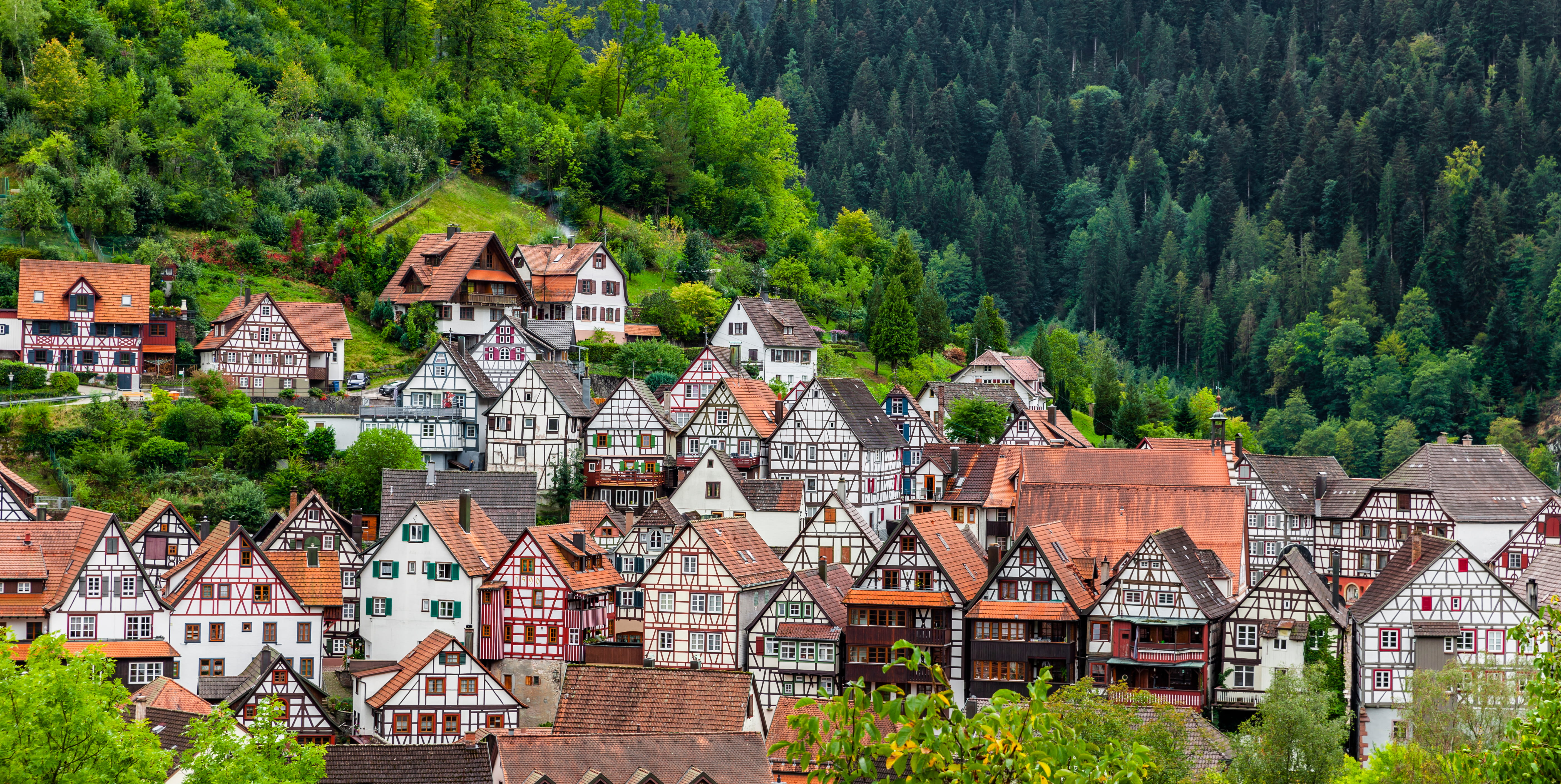 Schwarzwald