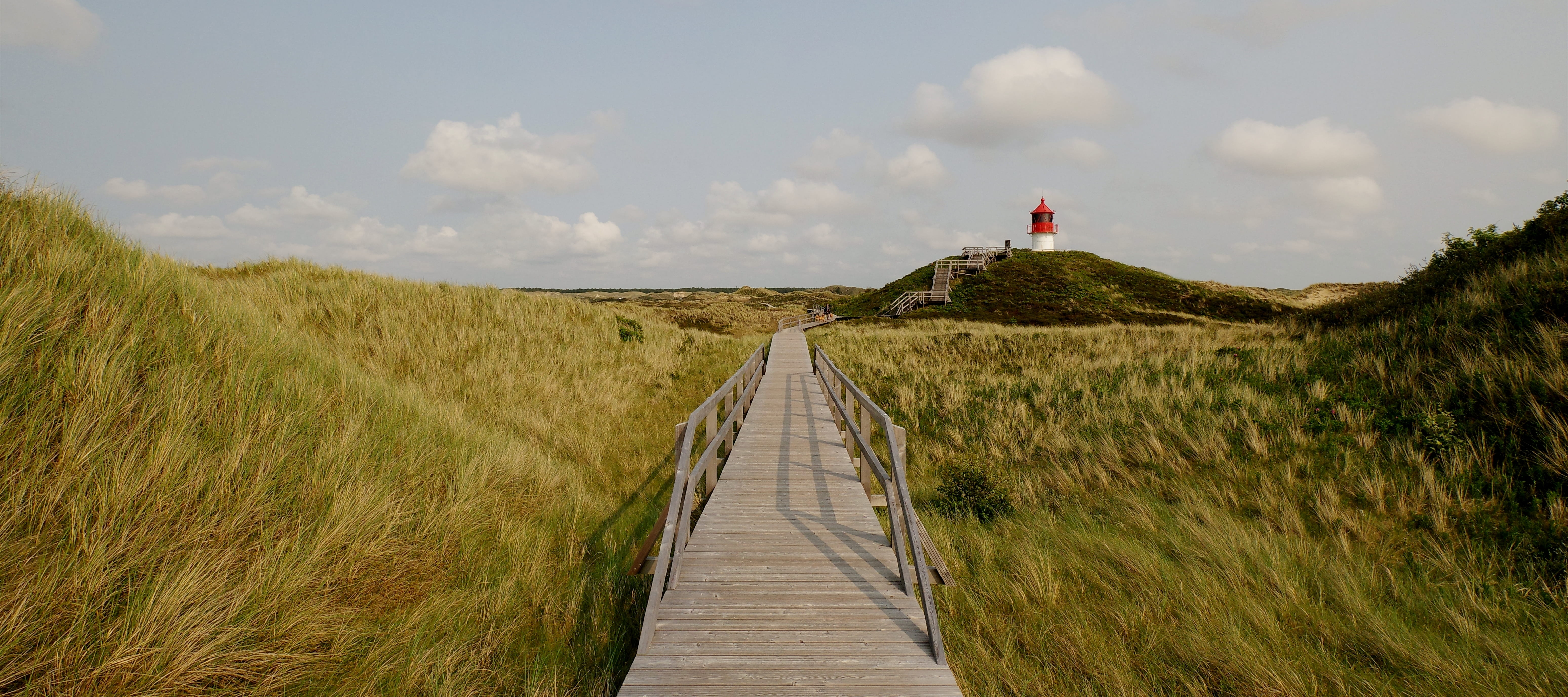 Amrum