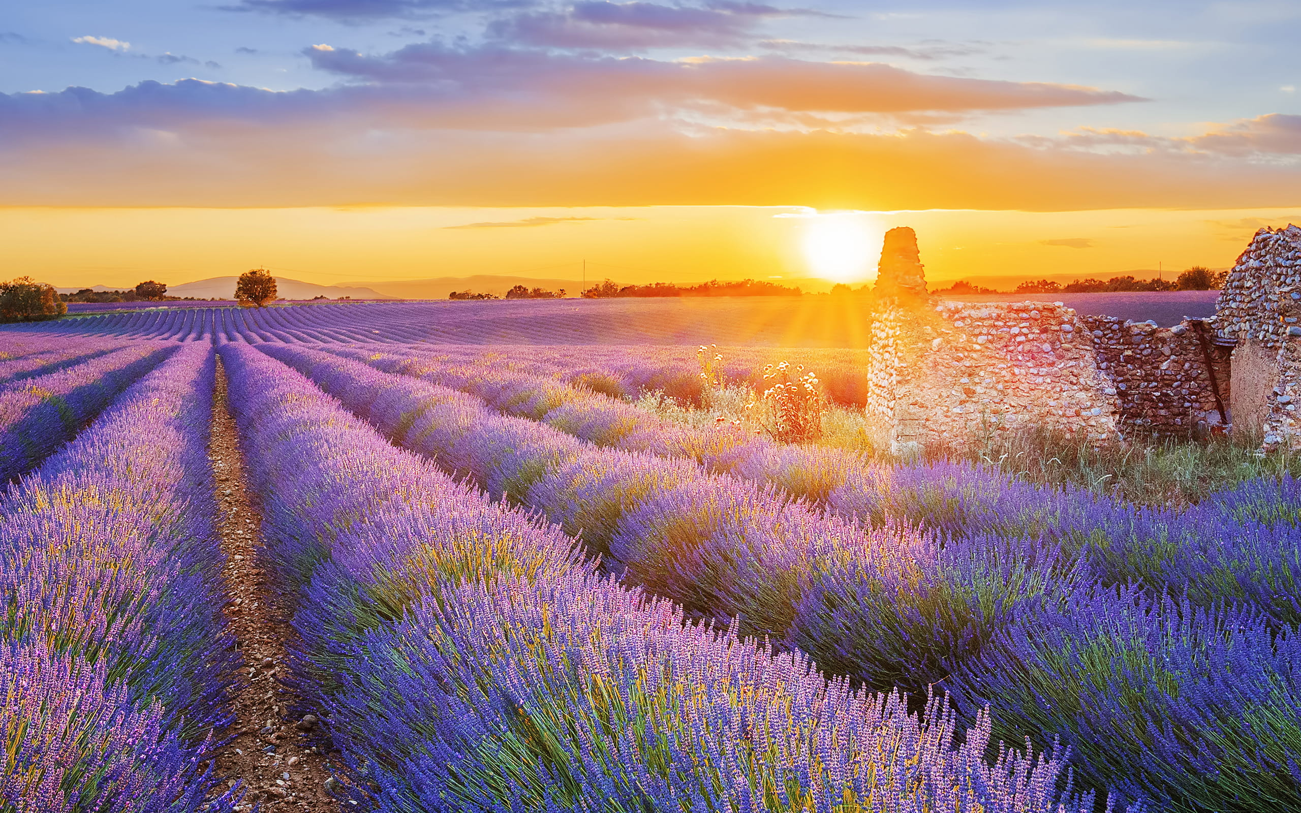 Provence