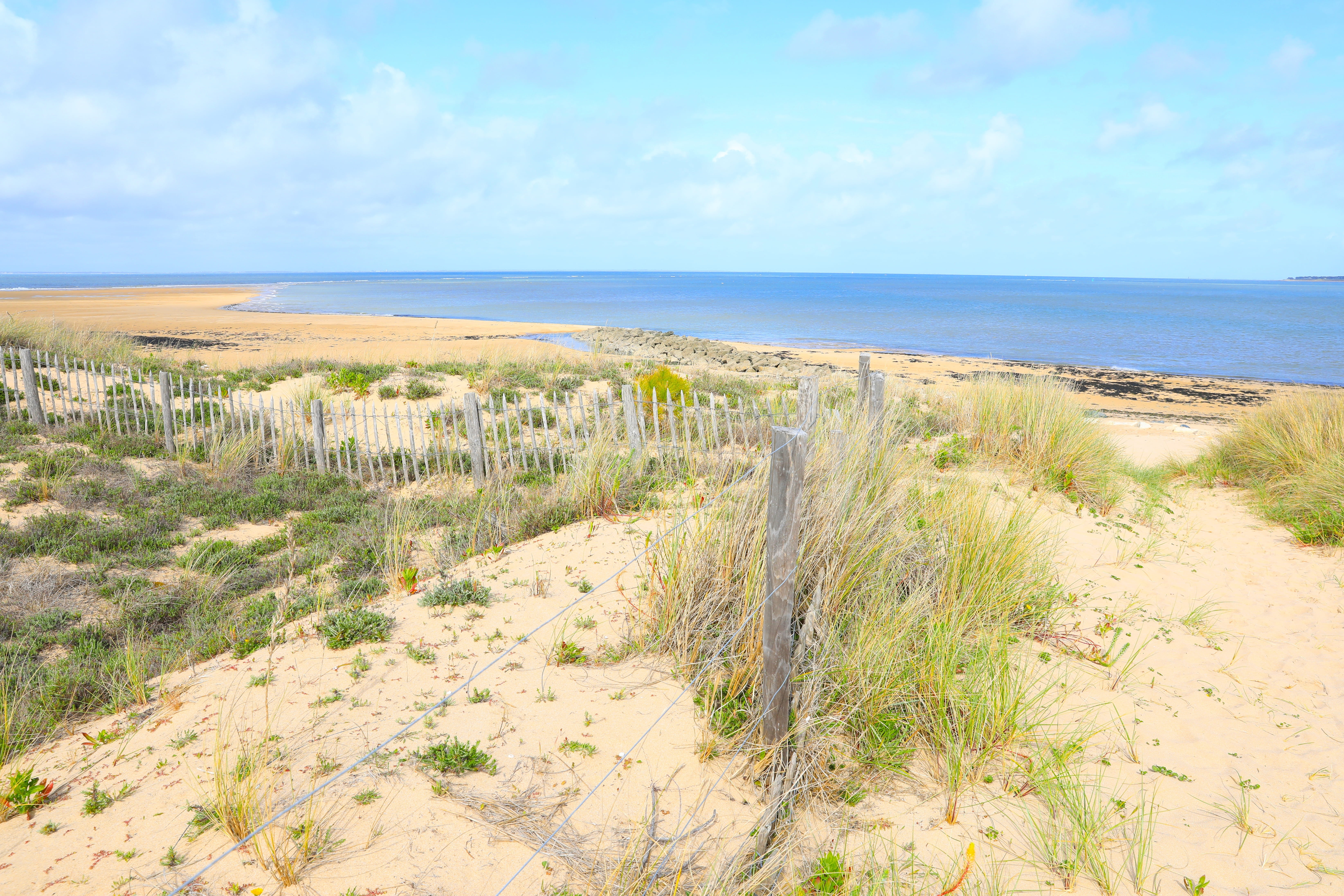 Île de Ré
