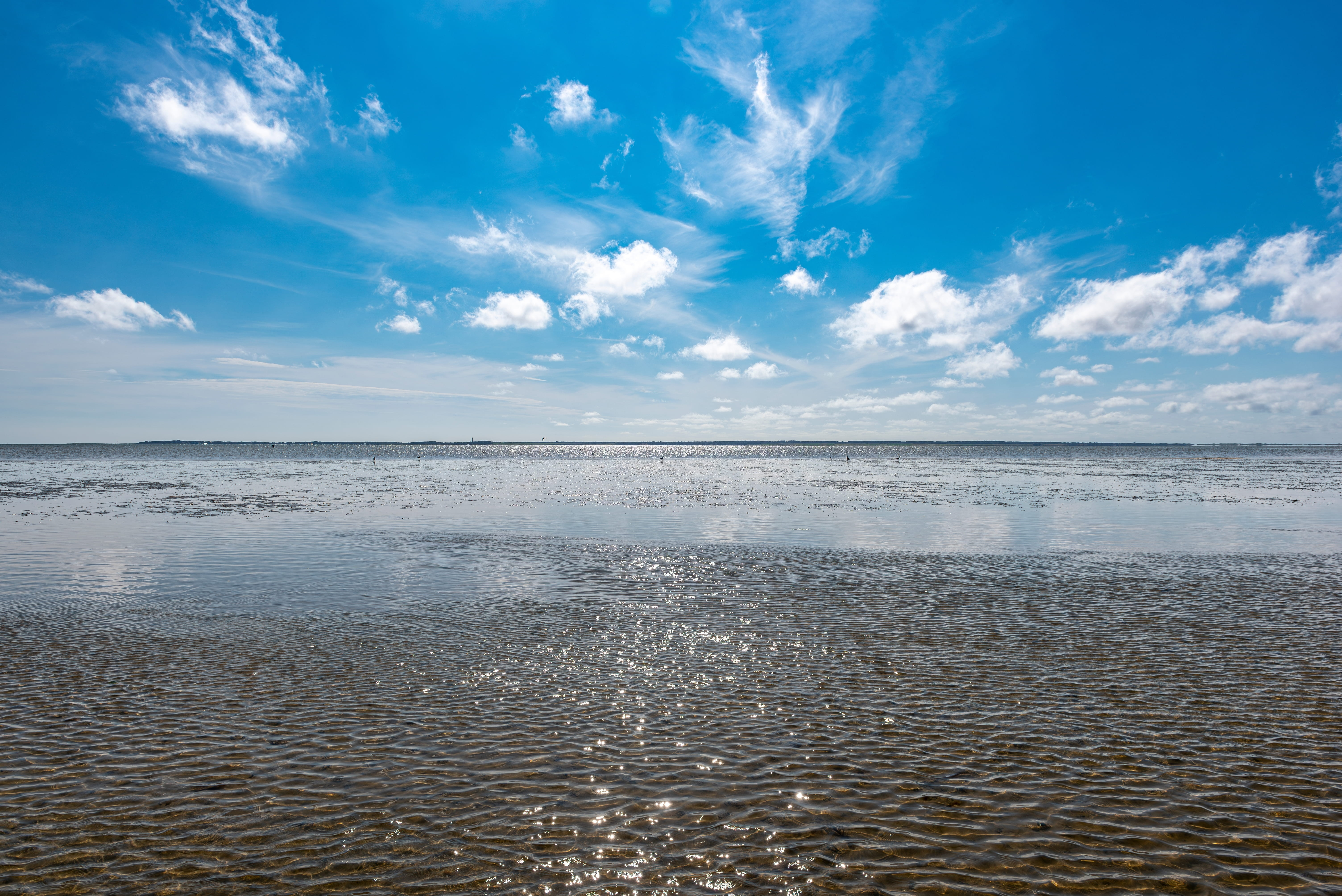 Nordseeküste