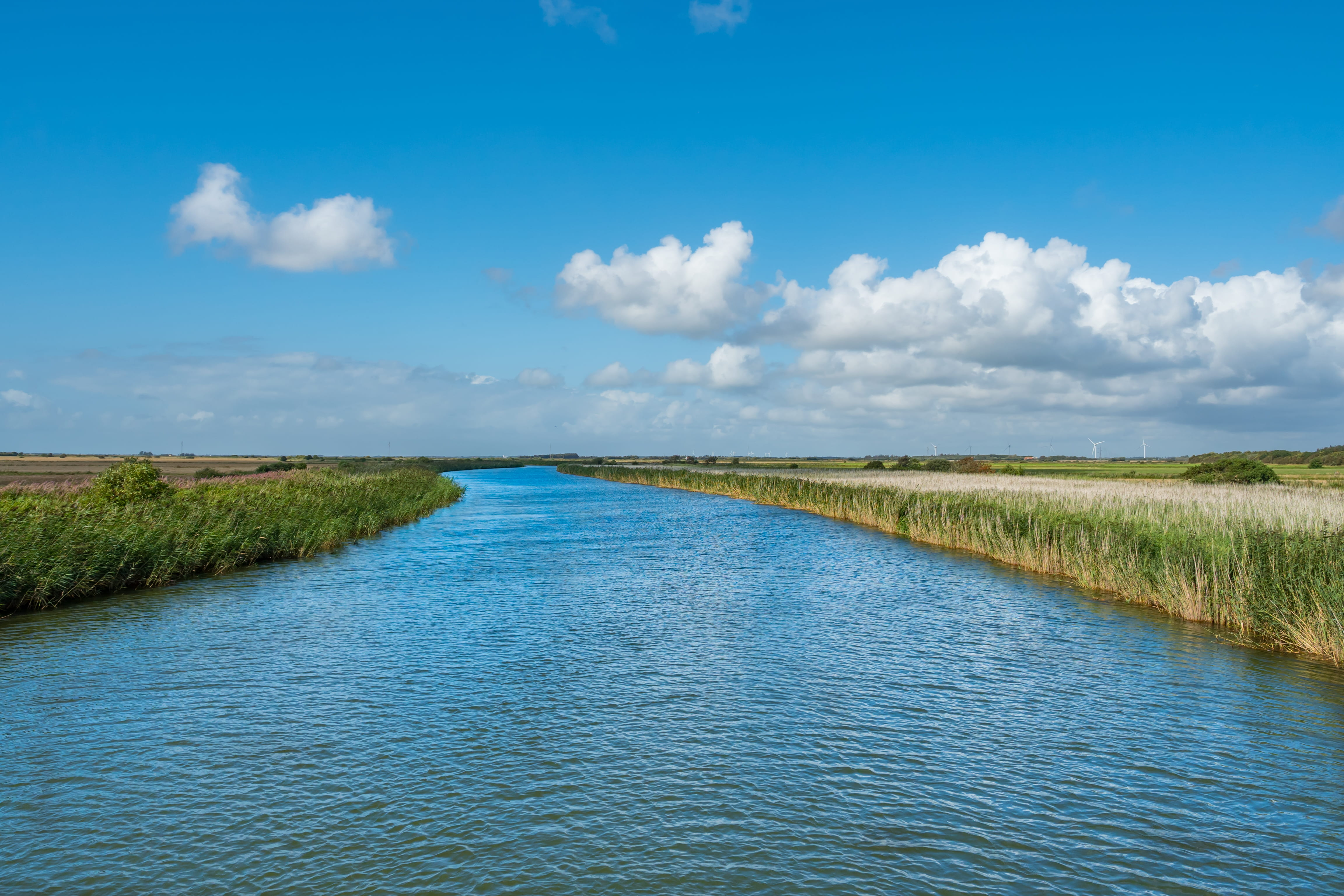 Ringkøbing Fjord