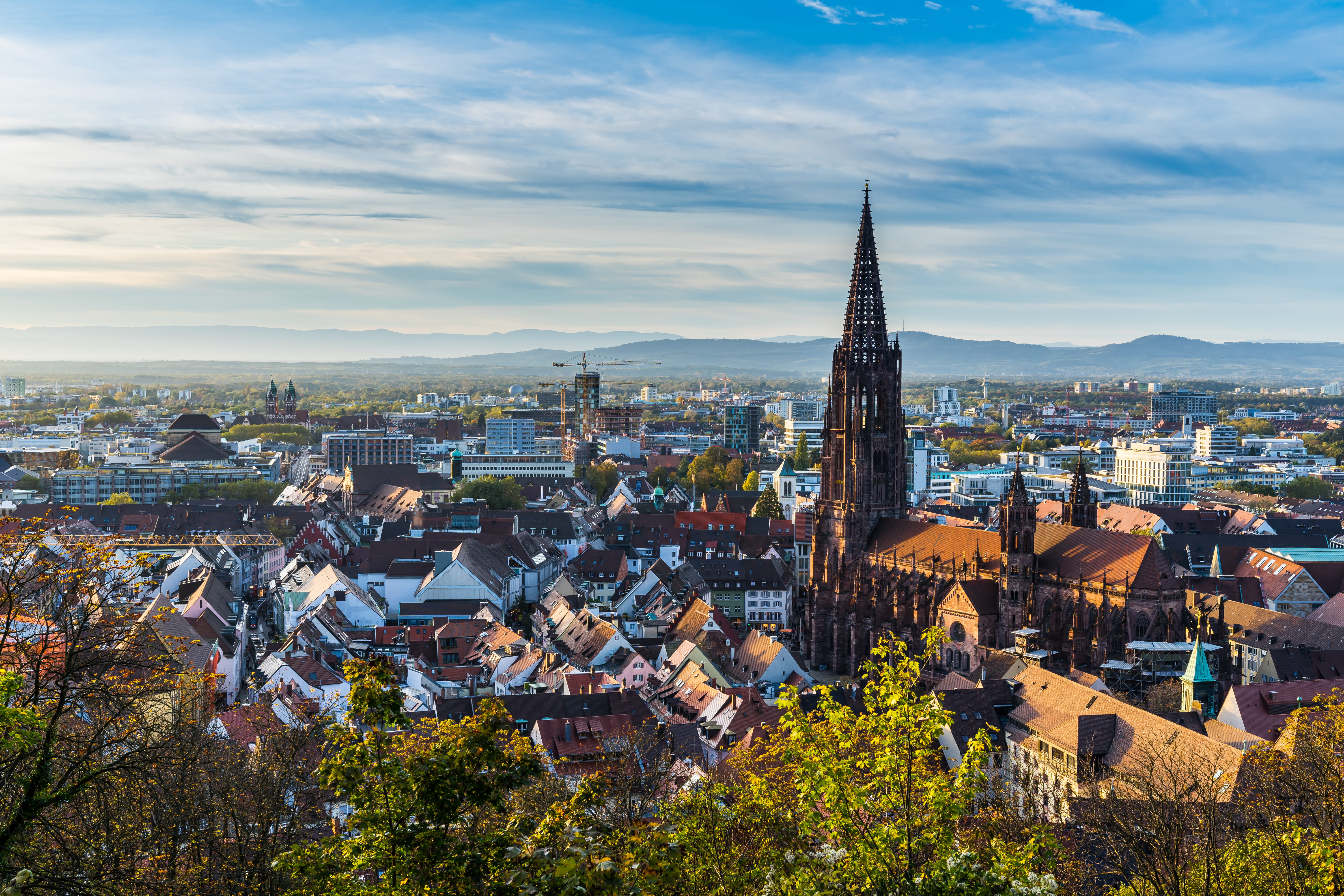 Freiburg im Breisgau