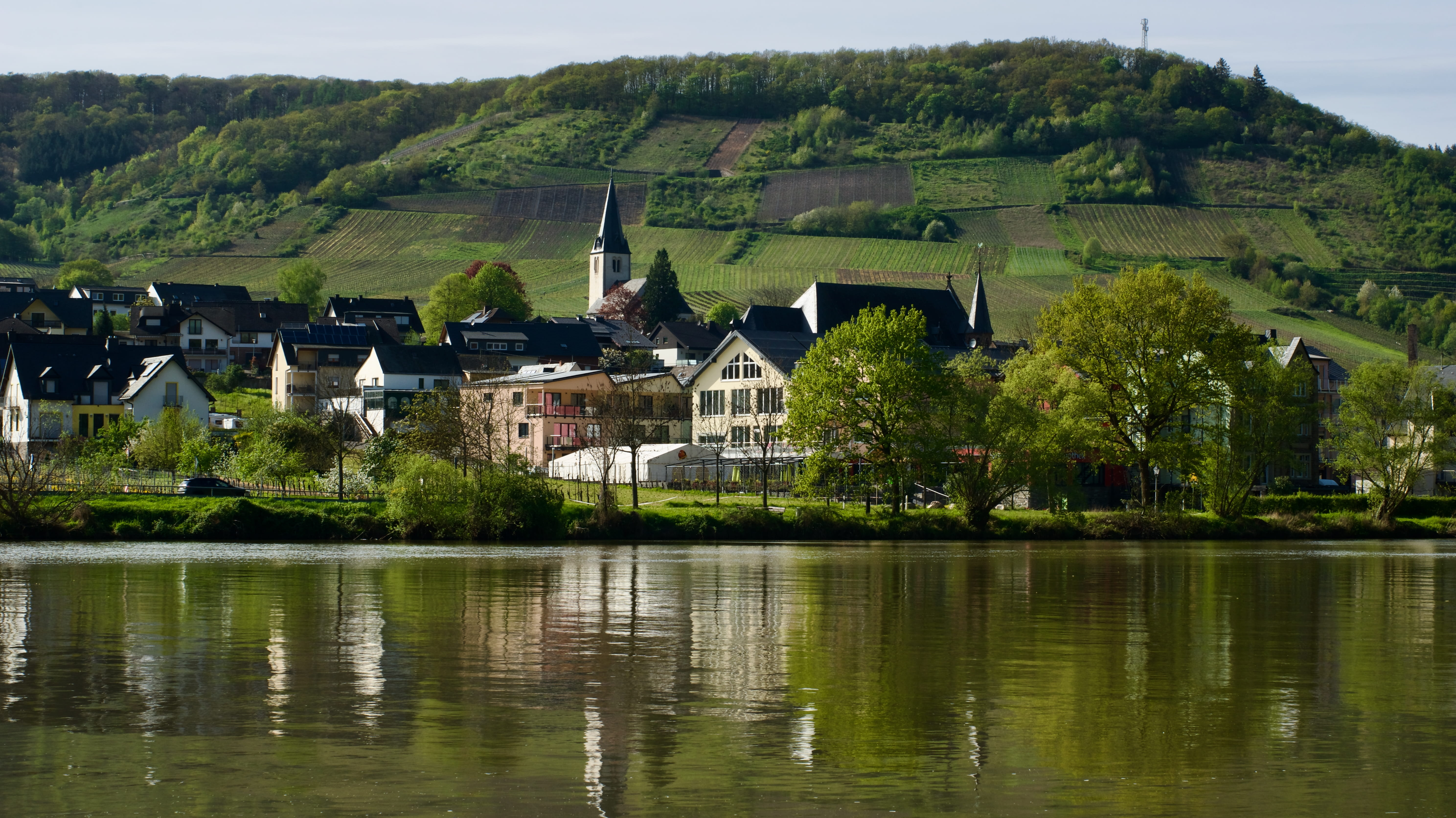 Moselregion