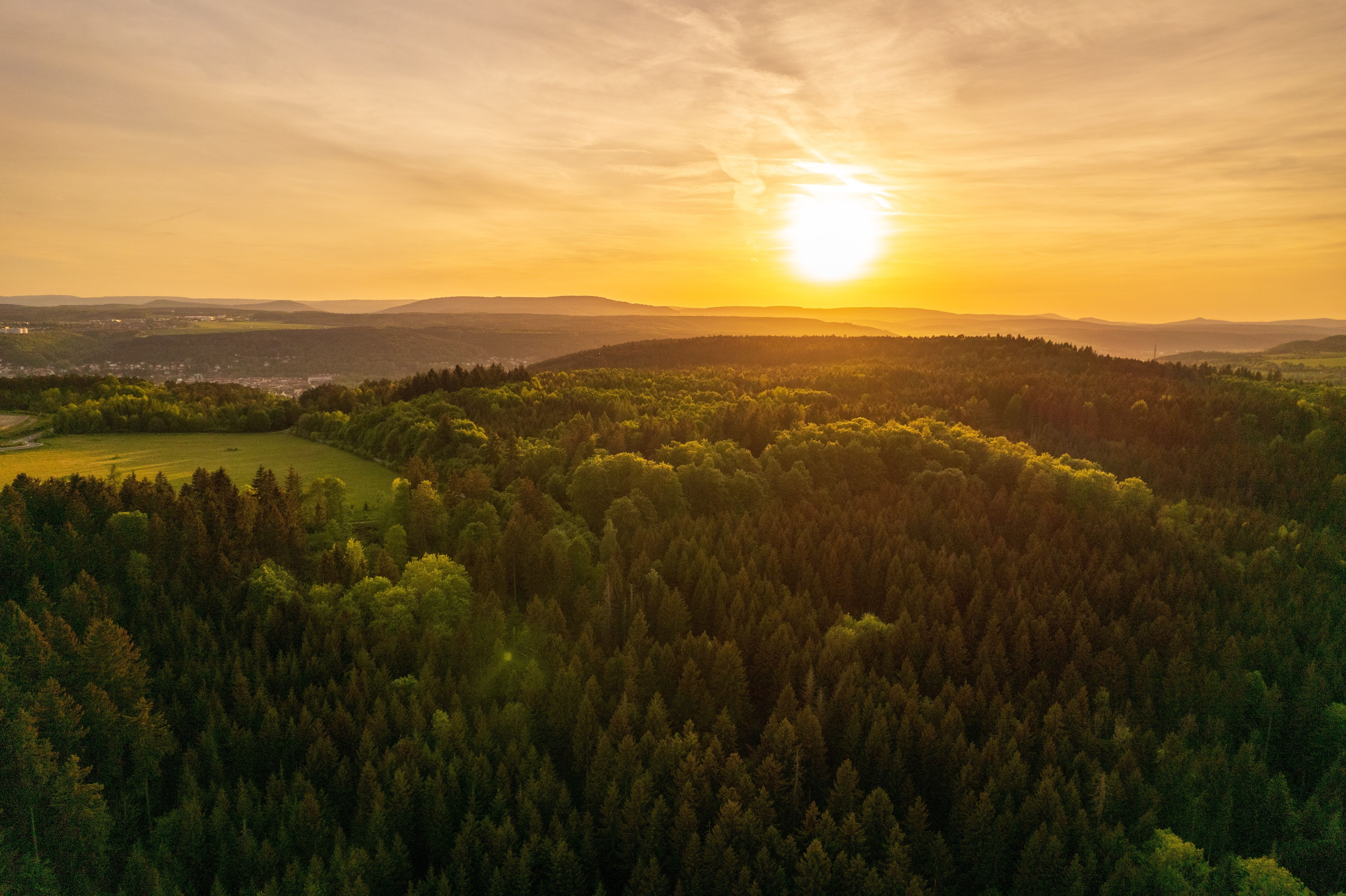 Thüringer Wald