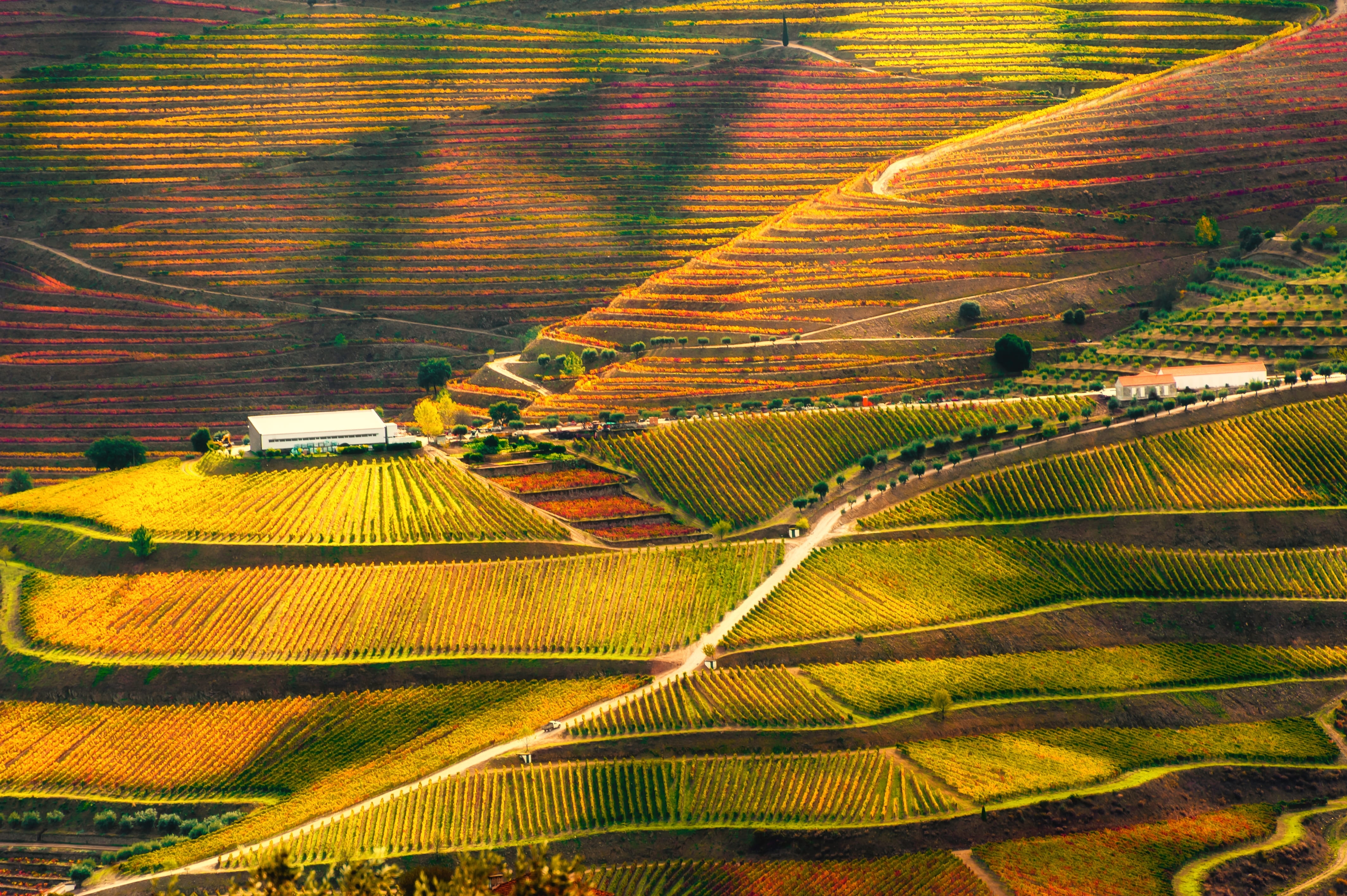 Douro-Tal