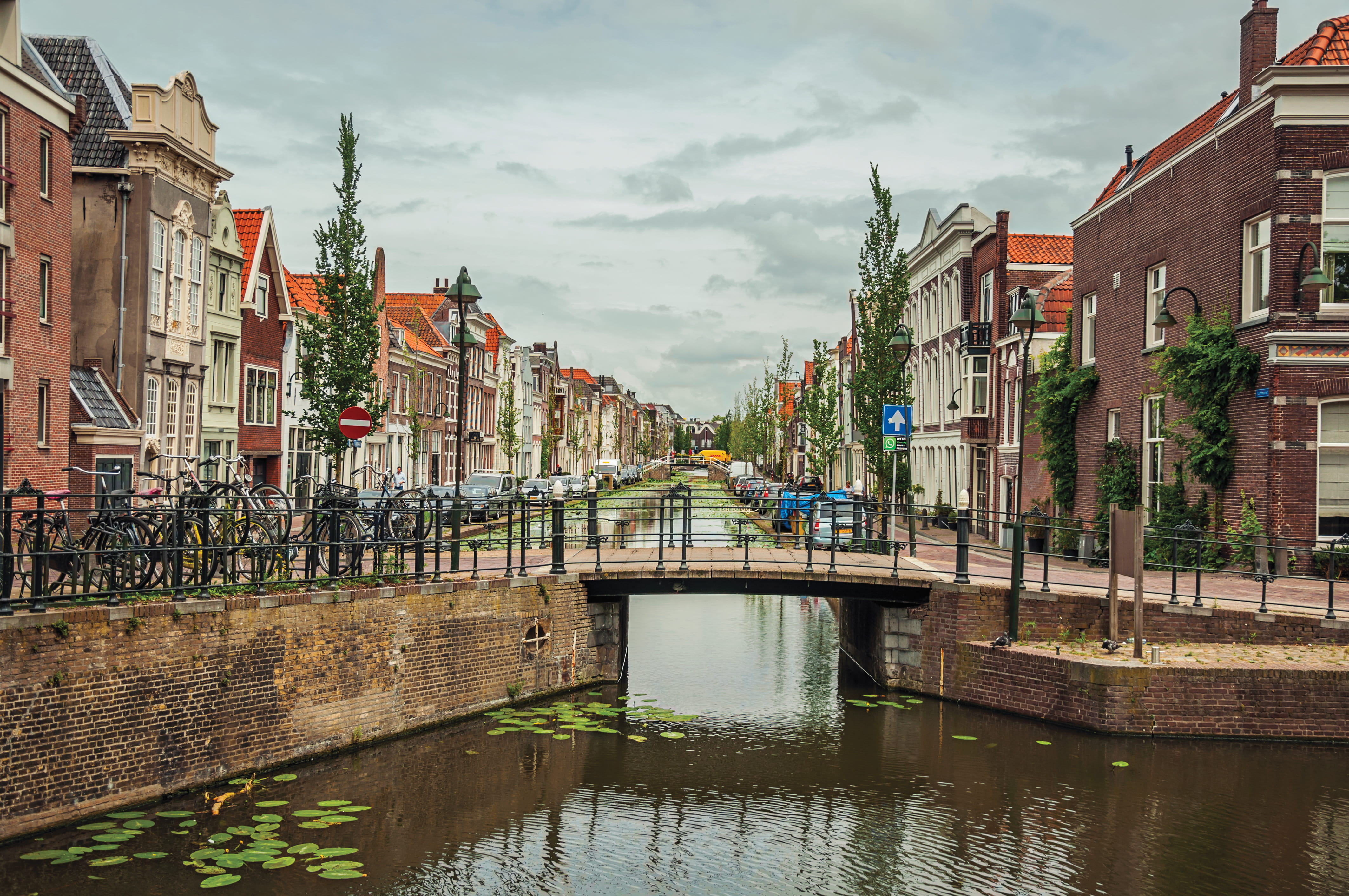 Gouda
