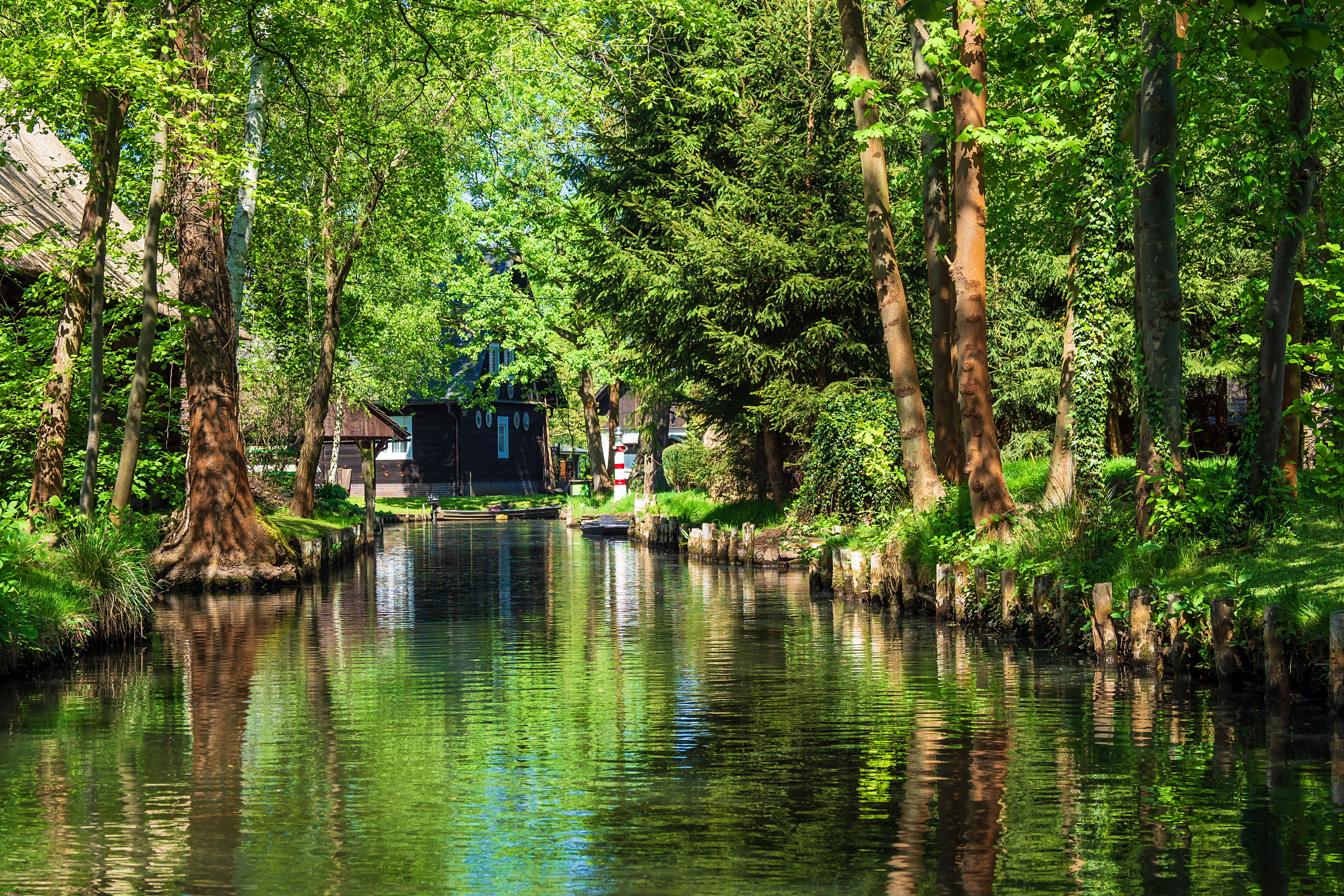 Spreewald