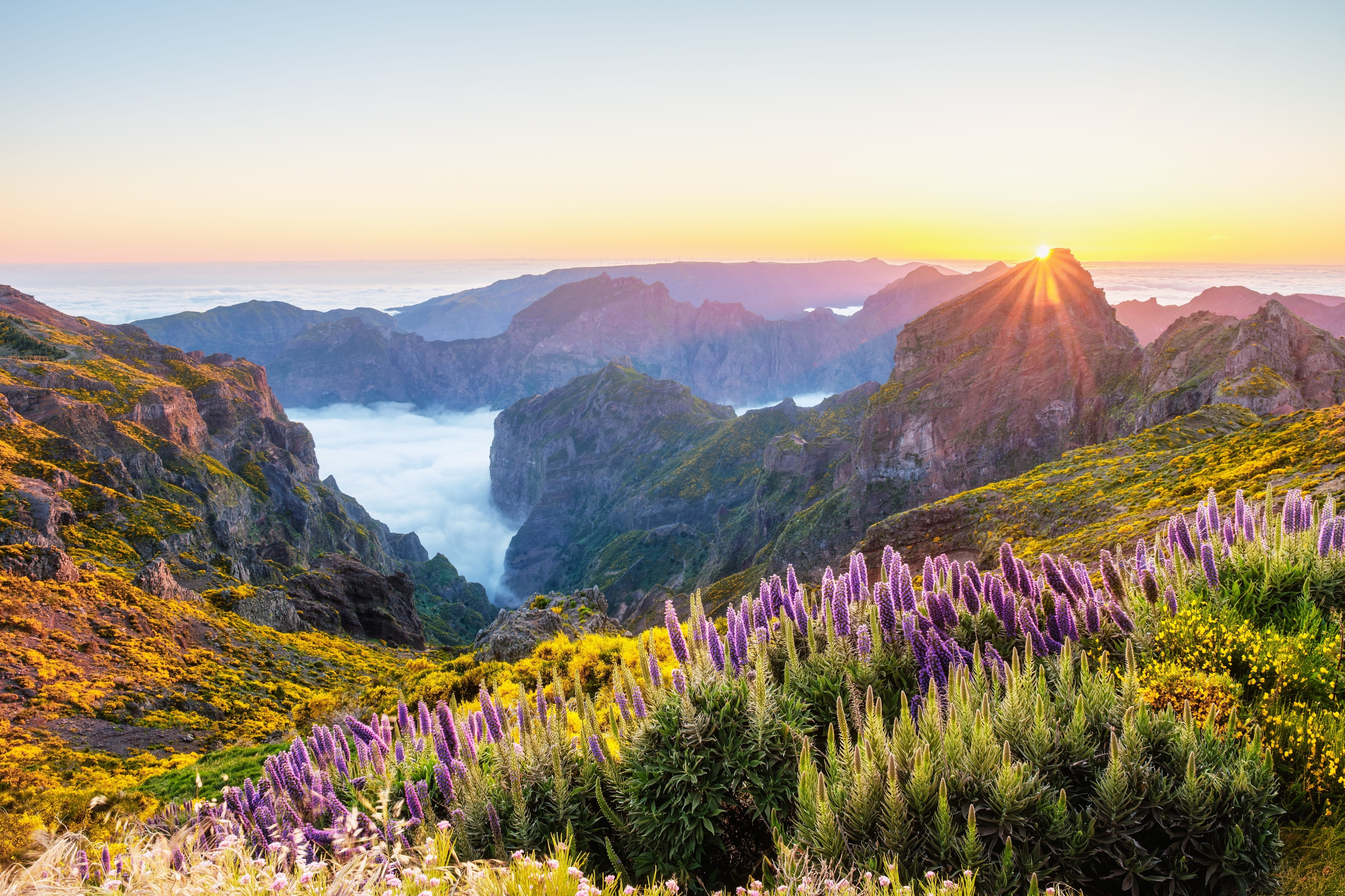 Madeira